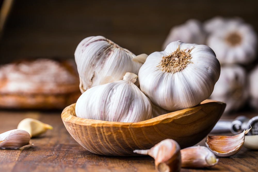 Bawang Putih Bonggol