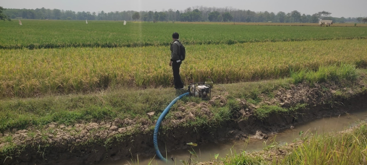 Potensi Kekeringan Menguat, Kementan Dorong Optimalisasi Pompa Air